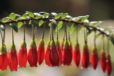 深圳大鹏区10私人快速借钱网，轻松解决资金难题