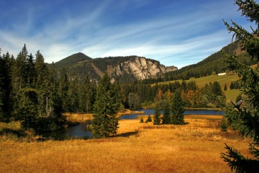 深圳大鹏区10民间私贷攻略：揭秘低成本借贷的秘密