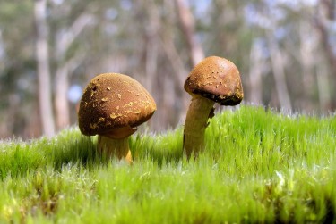 深圳大鹏区10私人老板放款：轻松融资的秘密通道